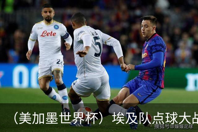 （美加墨世界杯）埃及队点球大战胜澳大利亚队 亚足联队伍全部出局